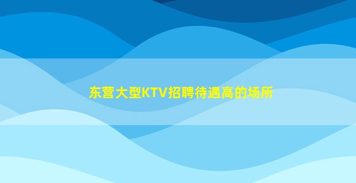 东营大型KTV招聘待遇高的场所